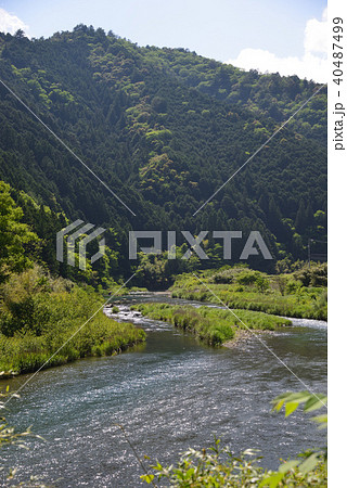 初夏の四万十川上流域 初夏の四万十川上流域 40487499