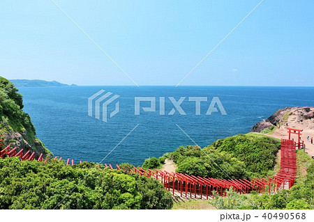 山口県　元乃隅稲成神社 40490568