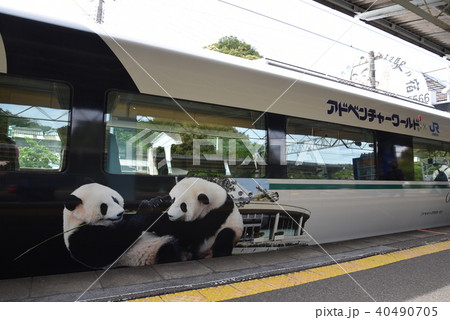 くろしお~パンダ号~ くろしお~パンダ号~ 40490705