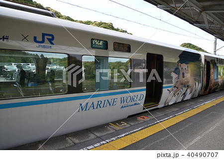 くろしお～パンダ号～ 40490707