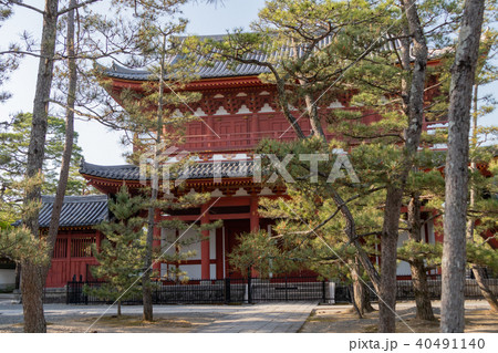 京都・妙心寺境内 京都・妙心寺境内 40491140