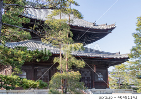 京都・妙心寺境内 京都・妙心寺境内 40491143