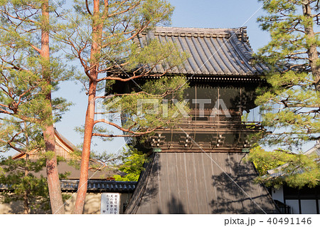 京都・妙心寺の南総門 40491146