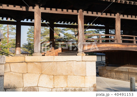 京都・妙心寺の境内 京都・妙心寺の境内 40491153