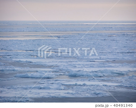 朝の流氷 40491340