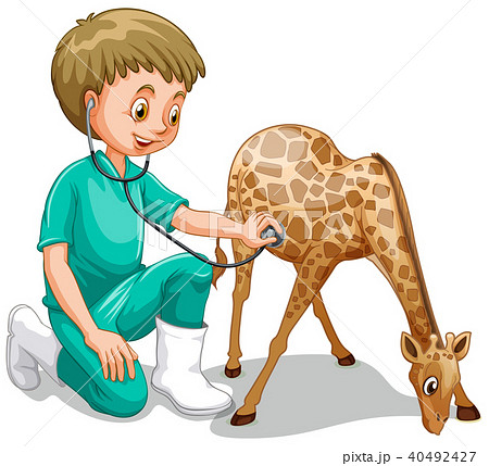 A Male Veterinarian Check Up Giraffeのイラスト素材