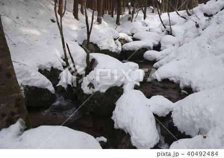 清流　水辺　積雪 40492484