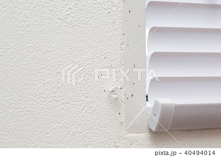 画鋲の刺し跡 画鋲の刺し跡 40494014