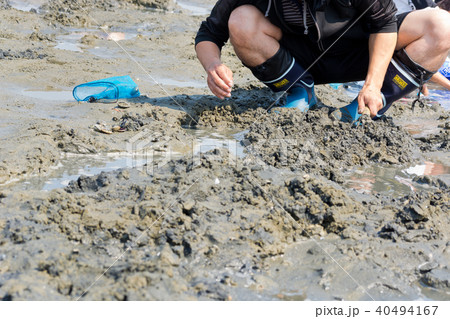 潮干狩り 40494167