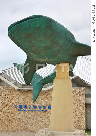 レア沖縄美ら海水族館 ジンベイジェット 盛り込む