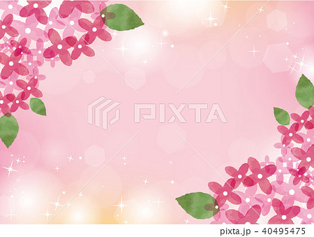 紫陽花のフレーム6のイラスト素材 40495475 Pixta