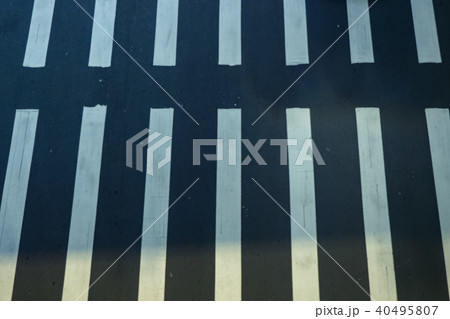 台湾 台北 台北市 40495807