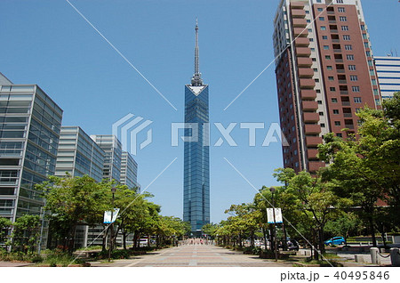 快晴の福岡タワー 40495846