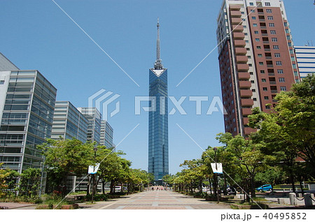 快晴の福岡タワー 快晴の福岡タワー 40495852