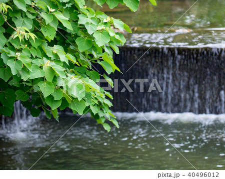 台湾 小川 クリーク 40496012