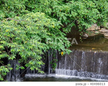 台湾 小川 クリーク 40496013