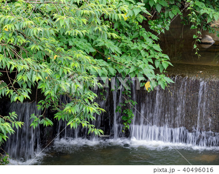 台湾 小川 クリーク 40496016