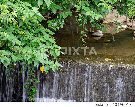 台湾 小川 クリーク 40496018