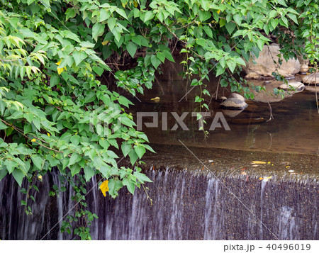 台湾 小川 クリーク 40496019