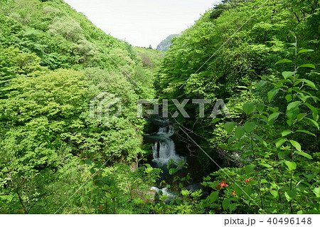 鳳鳴四十八滝 40496148