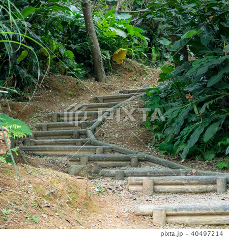 台湾 林 森 40497214