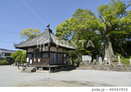 吉祥草寺 観音堂 吉祥草寺 観音堂 40497850