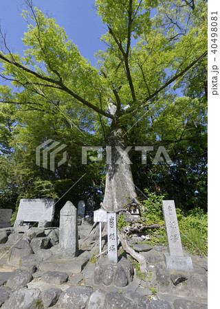 吉祥草寺 経塚 吉祥草寺 経塚 40498081