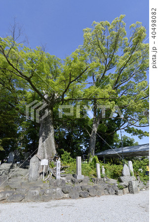 吉祥草寺　経塚 40498082