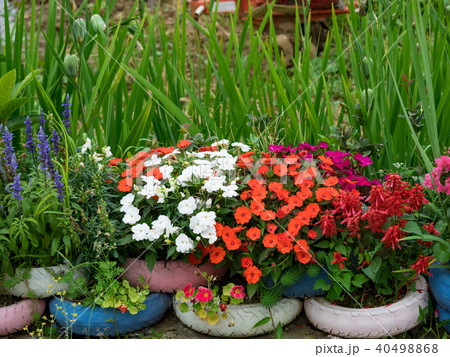 花 フラワー お花 40498868