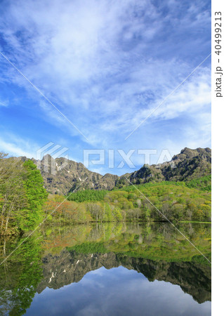 新緑の戸隠鏡池 40499213