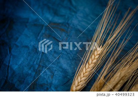 Background for Shavuot celebration 40499323