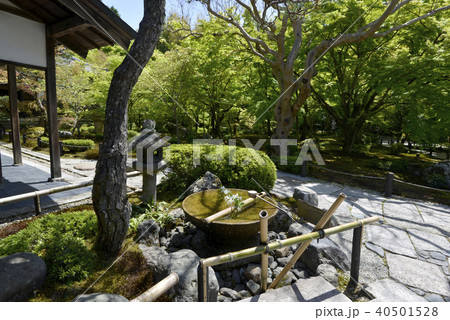 円光寺　手水鉢と水琴窟 40501528