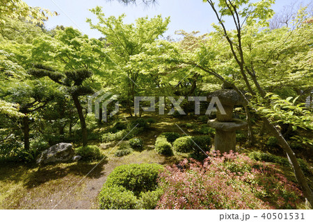 円光寺庭園 40501531