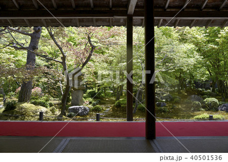 円光寺庭園 40501536