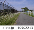 すすきのある道 40502213
