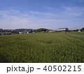 青空と田園風景 40502215