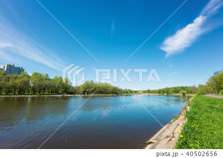 Sunny day on a calm pond 40502656