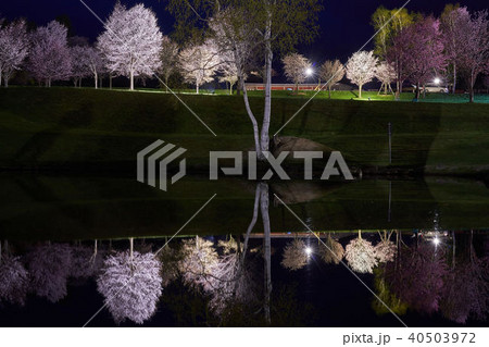 北海道　鷹栖町　パレットヒルズ 40503972