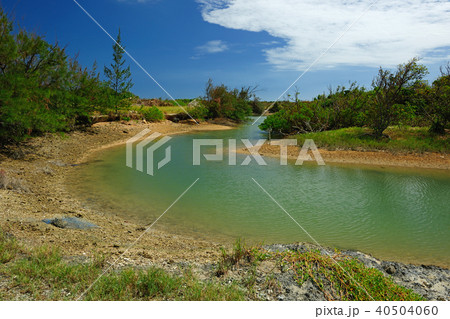 沖縄県八重山郡 由布島 汽水域 沖縄県八重山郡 由布島 汽水域 40504060