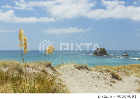 ニュージーランド　マンガファイのビーチ 40504691