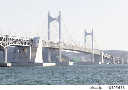 釜山 広安大橋 足 40505658