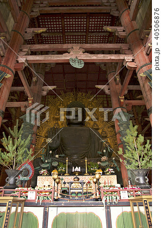 東大寺 奈良の大仏 東大寺 奈良の大仏 40506876