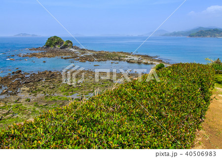田の子島への道　大潮時　【長崎県長崎市野母崎町】 40506983
