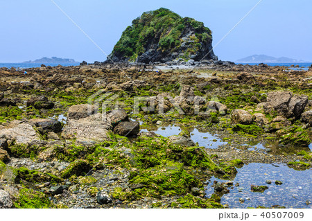 田の子島への道 大潮時 【長崎県長崎市野母崎町】 田の子島への道 大潮時 【長崎県長崎市野母崎町】 40507009