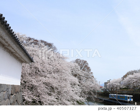 霞城公園 観桜会にて 霞城公園 観桜会にて 40507327