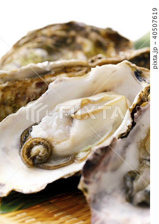 生牡蠣 40507619