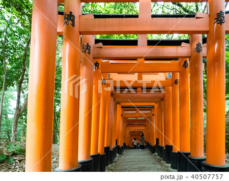 伏見稲荷大社 伏見稲荷神社 京都 40507757