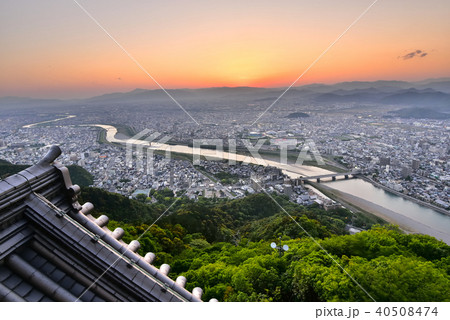 岐阜城 金華山の夜景 岐阜城 金華山の夜景 40508474
