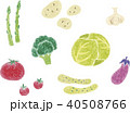 色鉛筆の野菜 40508766