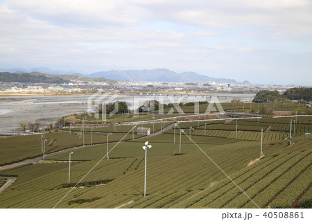 中條景昭像公園と茶畑 40508861